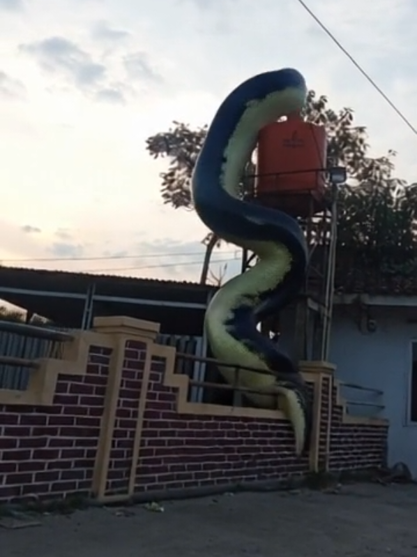 penampakan ular raksasa menaiki toren air warga ... #fyp #semuaorang 