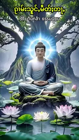 ၵႂၢမ်းသူင်ႇမဵတ်ႈတႃႇ