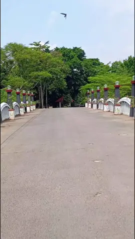 Rute jalan menuju wisata jembatan kaca tinjomoyo boloo #jembatankacatinjomoyo  #semarangstory  #semarang 