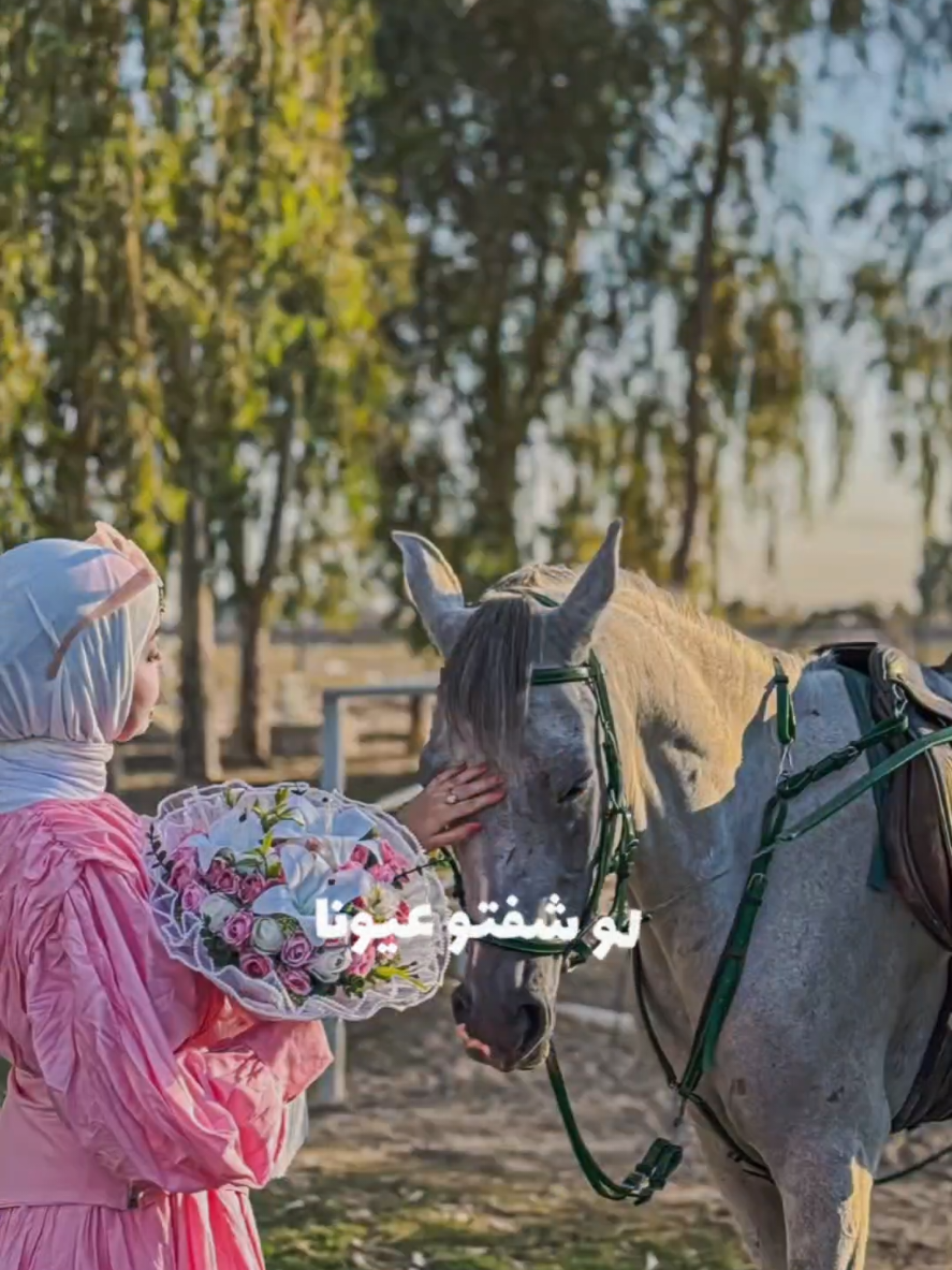لو شفتو عيونا 💗🌸