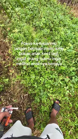 #sawit #sawitontiktok 