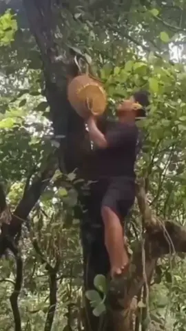 hala nahulog #comedy #funnyvideo 