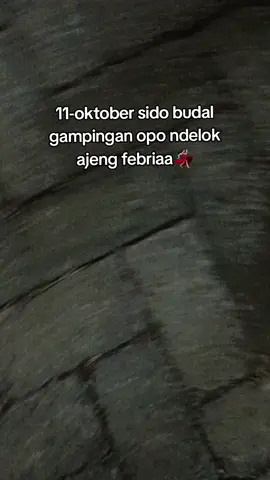 malehh bingongg🤣🤣🤣 #cbbekicotnganjuk #gampingangank #karnavalgampingan #cbnganjuk 
