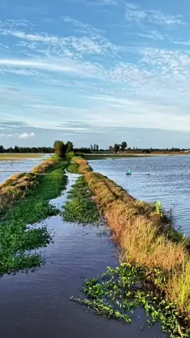 #อยุธยาหวานเจี๊ยบ😋 #สตอรี่ความรู้สึก #thailand🇹🇭 #foryou #foryoupage 