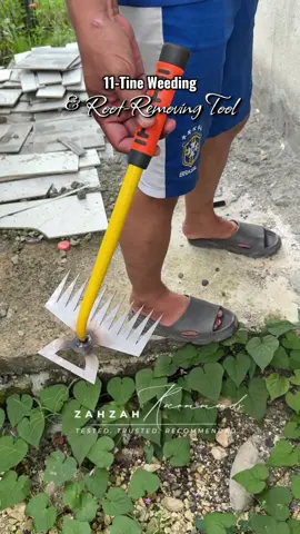 Tanggal-damo in one pull! 💪 No sprayer, no chemicals, just this 11-tooth weeder doing all the dirty work. Mura, magaan, at effective! 🌱 #WeedingTool #gardenhacks #Rake #11ToothWeeder #rootremover 