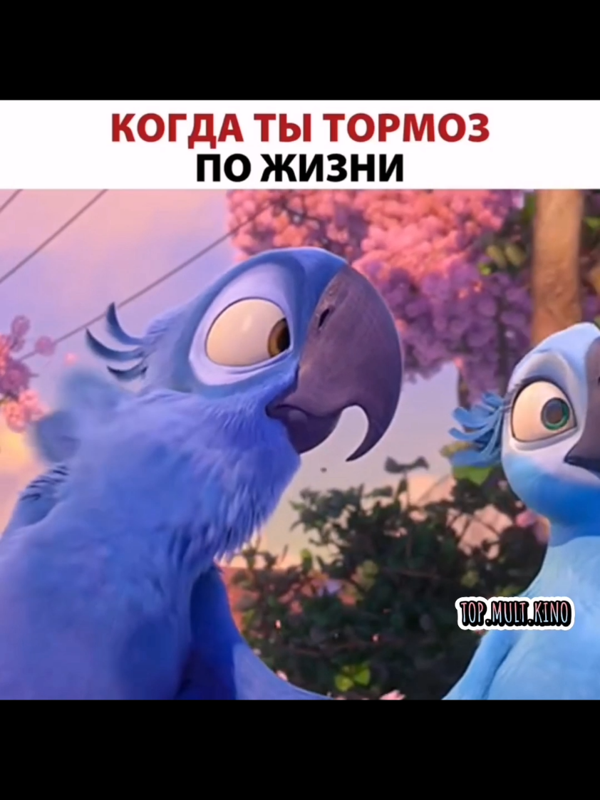 Когда ты тормоз по жизни 😌😂 Понравился пост? оставь лайк и подпишись ❤️ #мультфильм2025 🧩 #аниме 🎌 #кинобот 🤖 #фильмы 🎥 #чтопосмотреть 👀 #киносовет 💡 #анимация 🌀 #мультики 🧸 #лучшеедлятебя ⭐ 