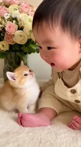 にゃ？ある？😍 #赤ちゃんと猫のいる暮らし #可愛い #猫好きさんと繋がりたい #癒し #ai 
