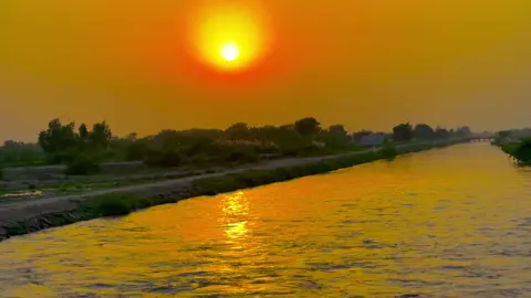 #میرا۔سوہنا۔پنڈ۔ٹھٹھہ۔ضلع۔قصور۔🌾🌲🌱🍂 #AdeelJaat #unfreezemyacount #donotunderreviewmyvideos 