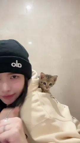 Hi there 🐱✨ #lookkaewkamollak #fyp #viral #tiktok #cat 