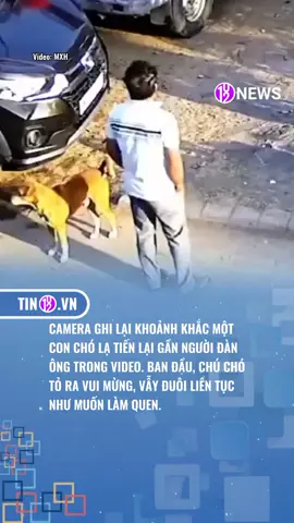 GÓC CẢNH GIÁC #tin102  #tiktoknews #xuhuongtiktok #giaitritiktok #tiktokgiaitri 