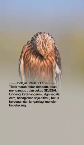 #qoutes #foryou #foryoupage #laguviral #CapCut 