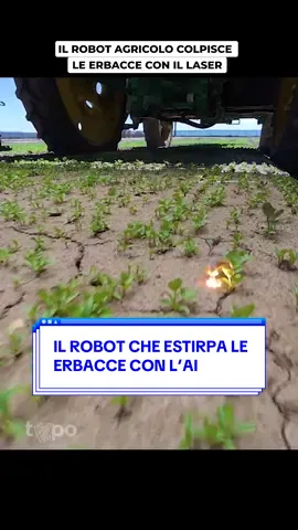 Un robot capace di estirpare, grazie all'AI, fino a 600mila erbacce all'ora (e senza danneggiare il terreno) 🌱🤖 #ai #robot #Tech 