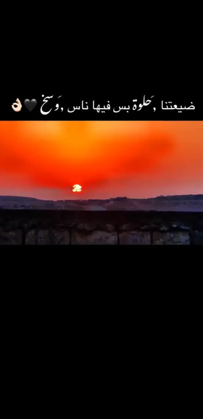 حيشا الكويسين❤️‍🩹🍃🌚#fyp #عباراتكم_الفخمه📿📌 #تصويري📸 #معصران_بيتنا_الجميل🌹💙🥇 