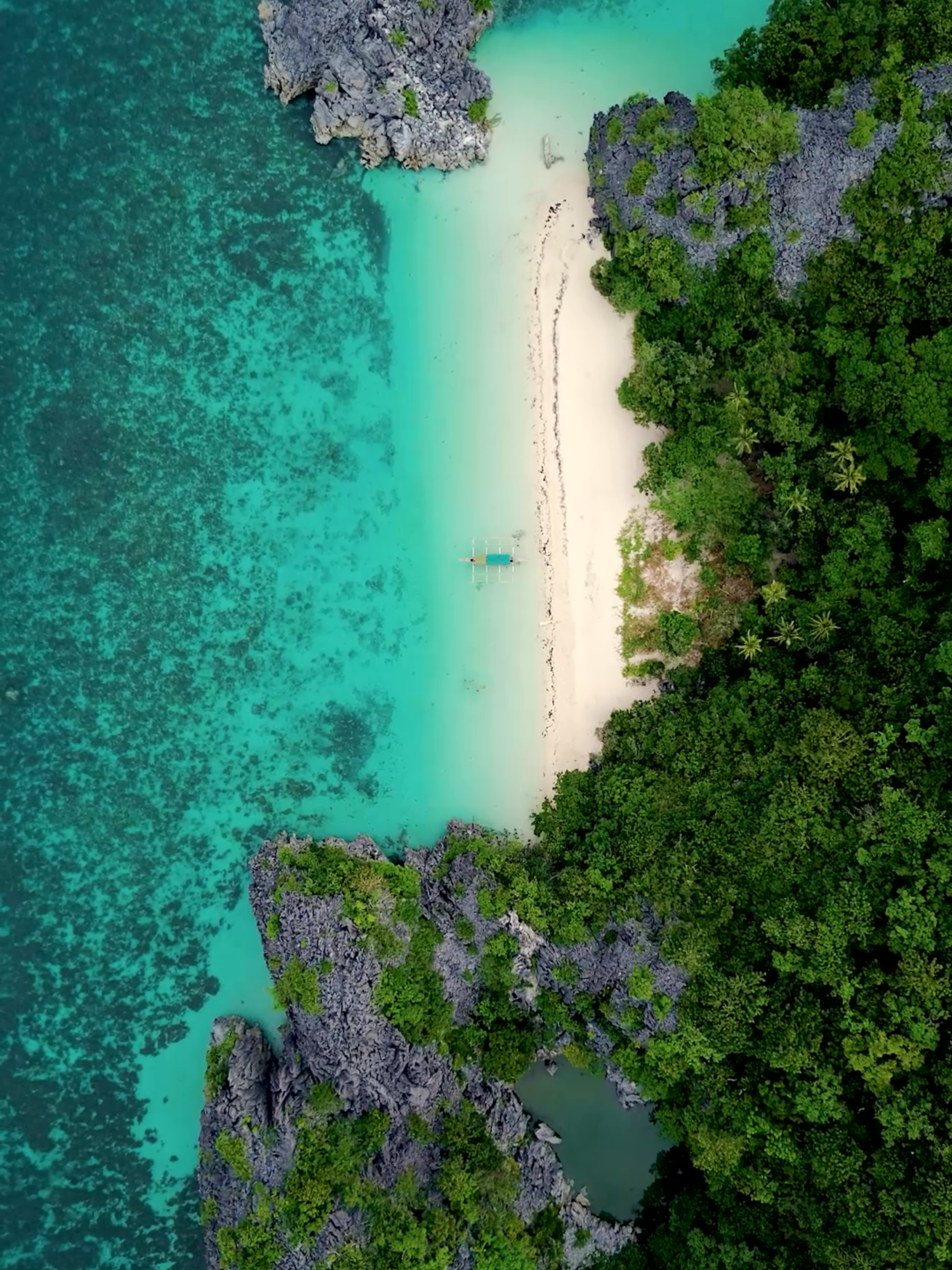 Legend has it: a giant bangus, untouched and elusive, lives in Matukad Island’s hidden lagoon. Combine that myth with breathtaking beaches, lush cliffs, and turquoise seas. Isn’t that reason enough to explore CamSur? 📷📷 Venture beyond the ordinary. Climb the cliffs, feel the warm white sand under your feet, and soak in the view at Matukad. Your next unforgettable escape awaits. #visitcamsur #MatukadMystery #CaramoanWonders#Matukad #Legend #Caramoan #camsurvibe #ChooseCamSur #ExperienceCamSur #AdventureAwaits