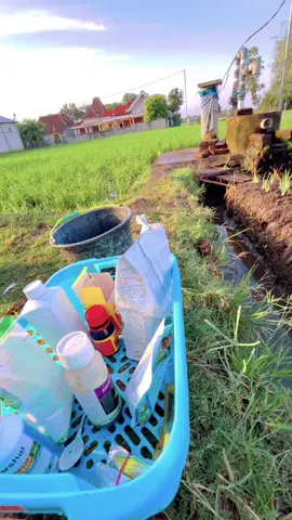 sing greges wonge, sing di obati panggah tandurane🤧 #petanimuda #petaniindonesia🇮🇩🇮🇩🇮🇩🌿🌿 #petanibawangmerah #bawangmerah #petanimilenial 