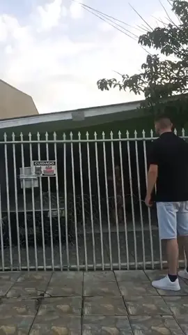 As palavras deles:se sumam daqui nunca mais voltem,se virem porq eu não quero ela aqui!