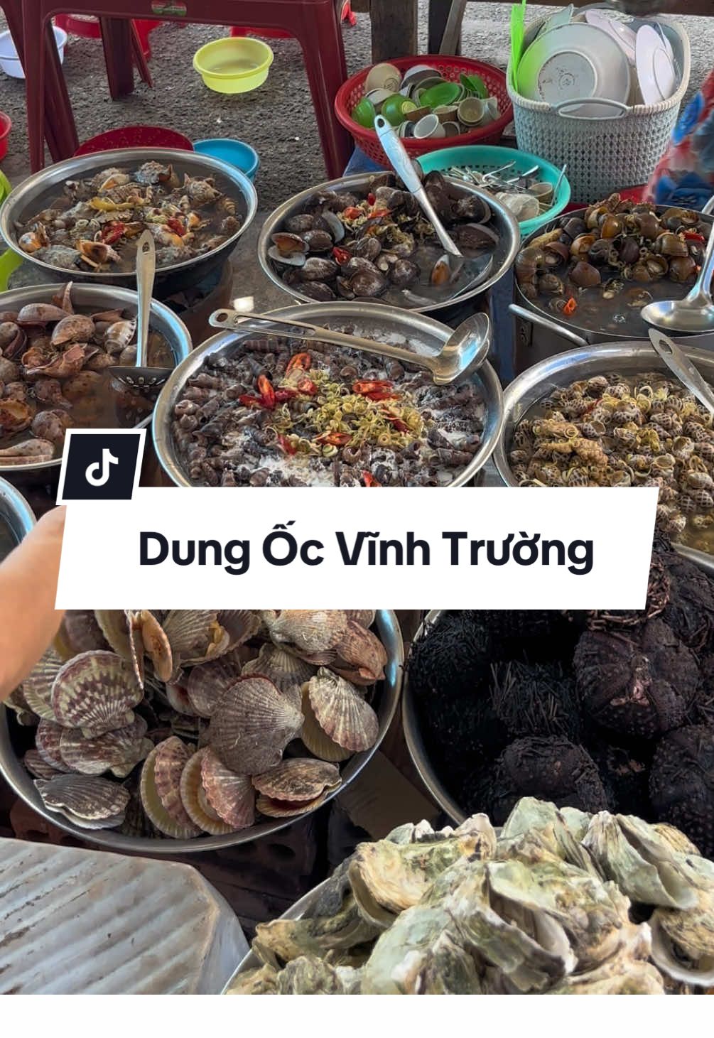 Dung Ốc Vĩnh Trường, Ốc Dung sau chợ Vĩnh Trường #nhatrangangi #anginhatrang #nhatrangfoodreview #haisannhatrang #ốc 