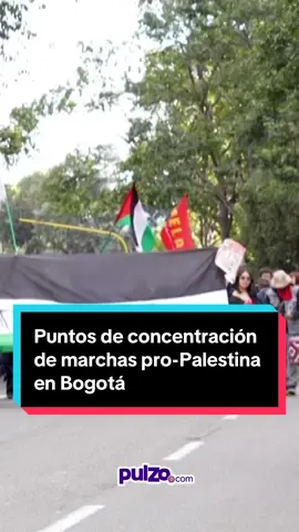 Las marchas pro-Palestina en Bogotá terminarán con una velaton en la Plaza de Bolivar como gesto de rechazo a lo hecho por Israel. #palestina #protestas #bogota #fyp 