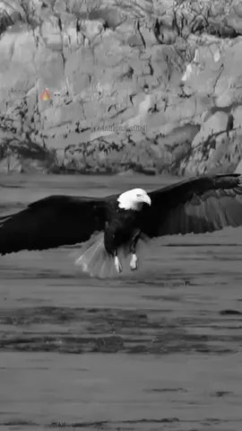 کردار بتاتا ہںے شخصیت کا پتہ بدنامی  کرنا تو منافقوں کی عادت ہںے 🔥 #mirpuri_editz1 #foryoupage #kashmiri 