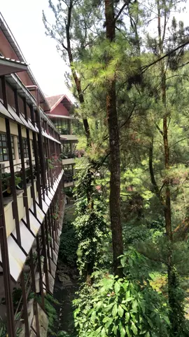 Seindah ini, cocok banget buat nugas 😍 #ipb #ipbuniversity 
