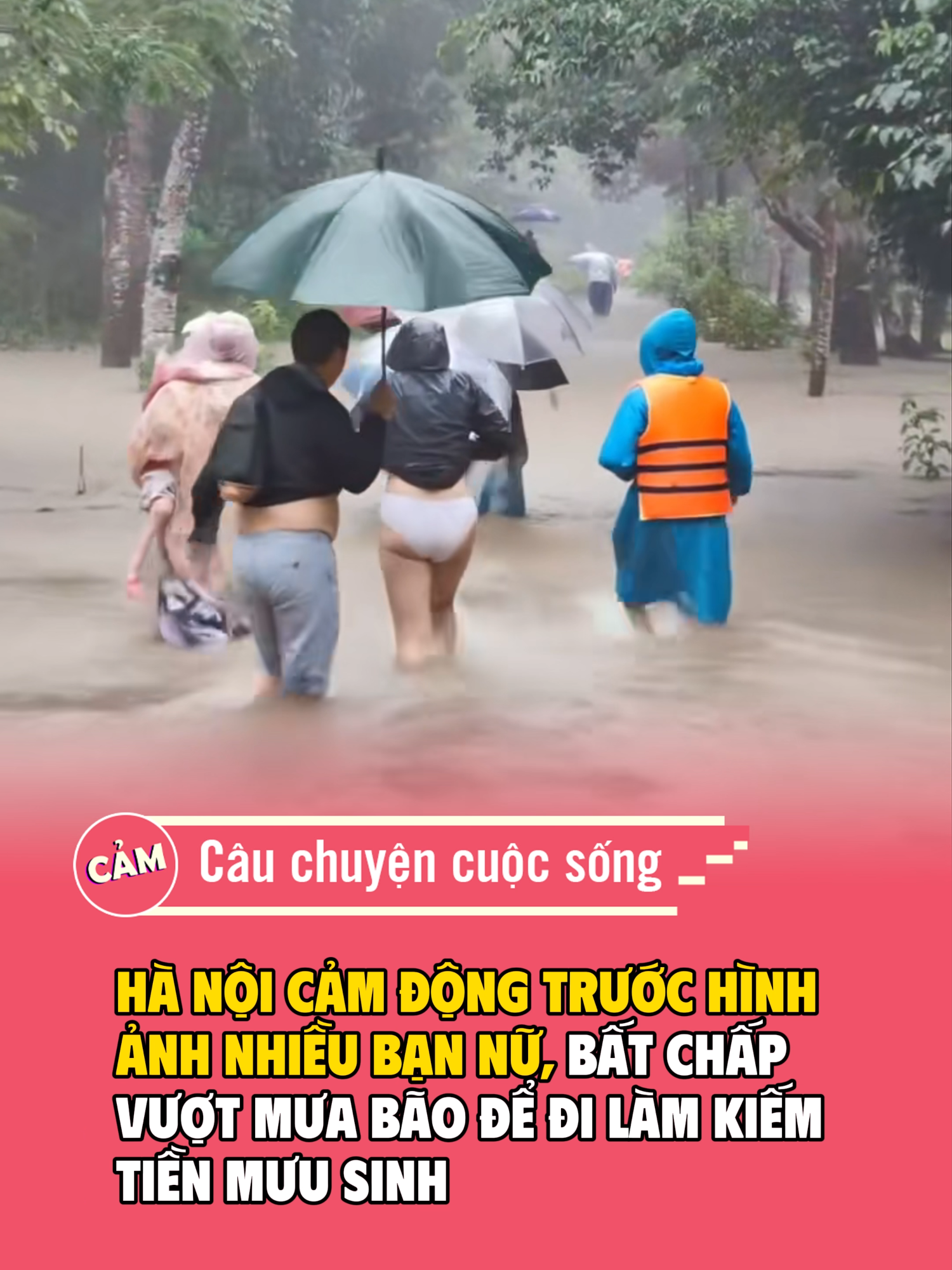 VƯỢT NẮNG THẮNG MƯA #NEWS #camxuc #tintuc #xuhuong #hanoinews