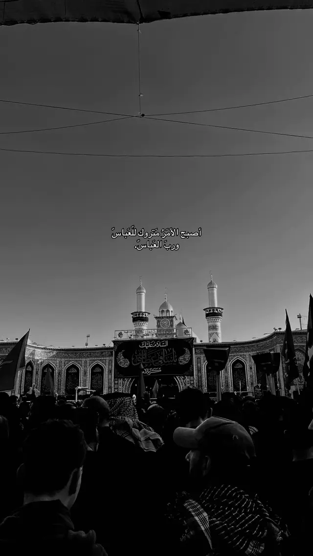 #tiktok #العباس_ابن_علي_ابن_ابي_طالب #سيد_سلام_الحسيني #dancewithpforyou #4u 