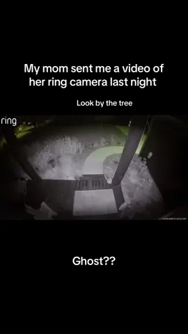 But actually, what is that it’s freaking us out 😅 #ghost #ring #ringdoorbell 