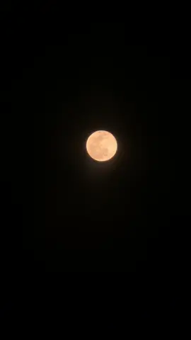7 Oktober 2025, Moonlight malem ini cakep bgt😭🌖 #fyp #moon #moonlight #astrophile #bulanpurnama 