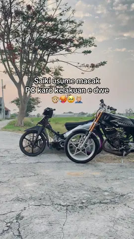 Ndak malu po #saripin37 #4u #fyppp #xyzbca 