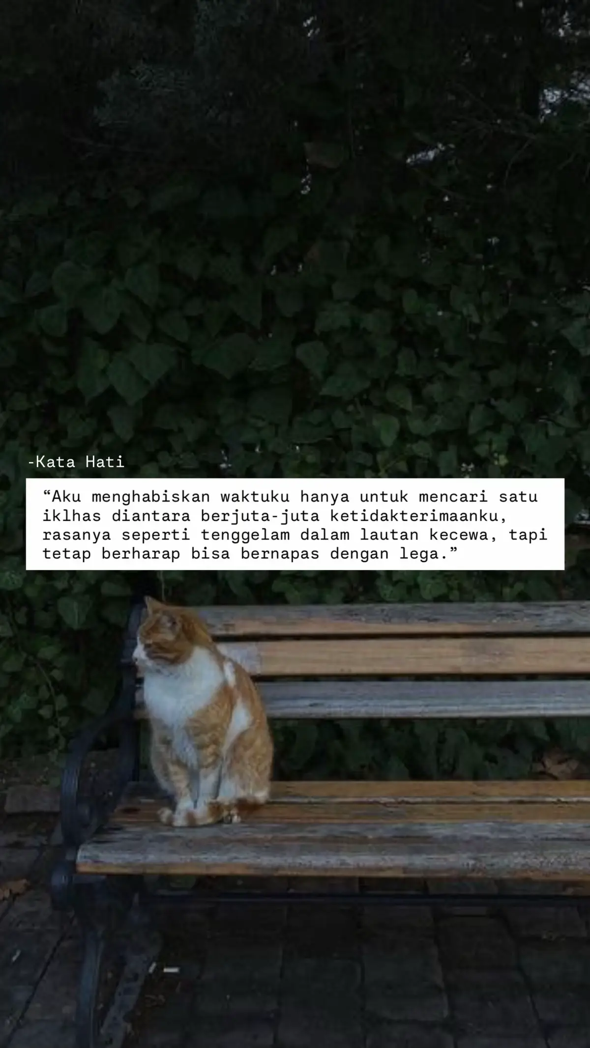 #sad #fyp #sadstory #motivation #foryoupage 