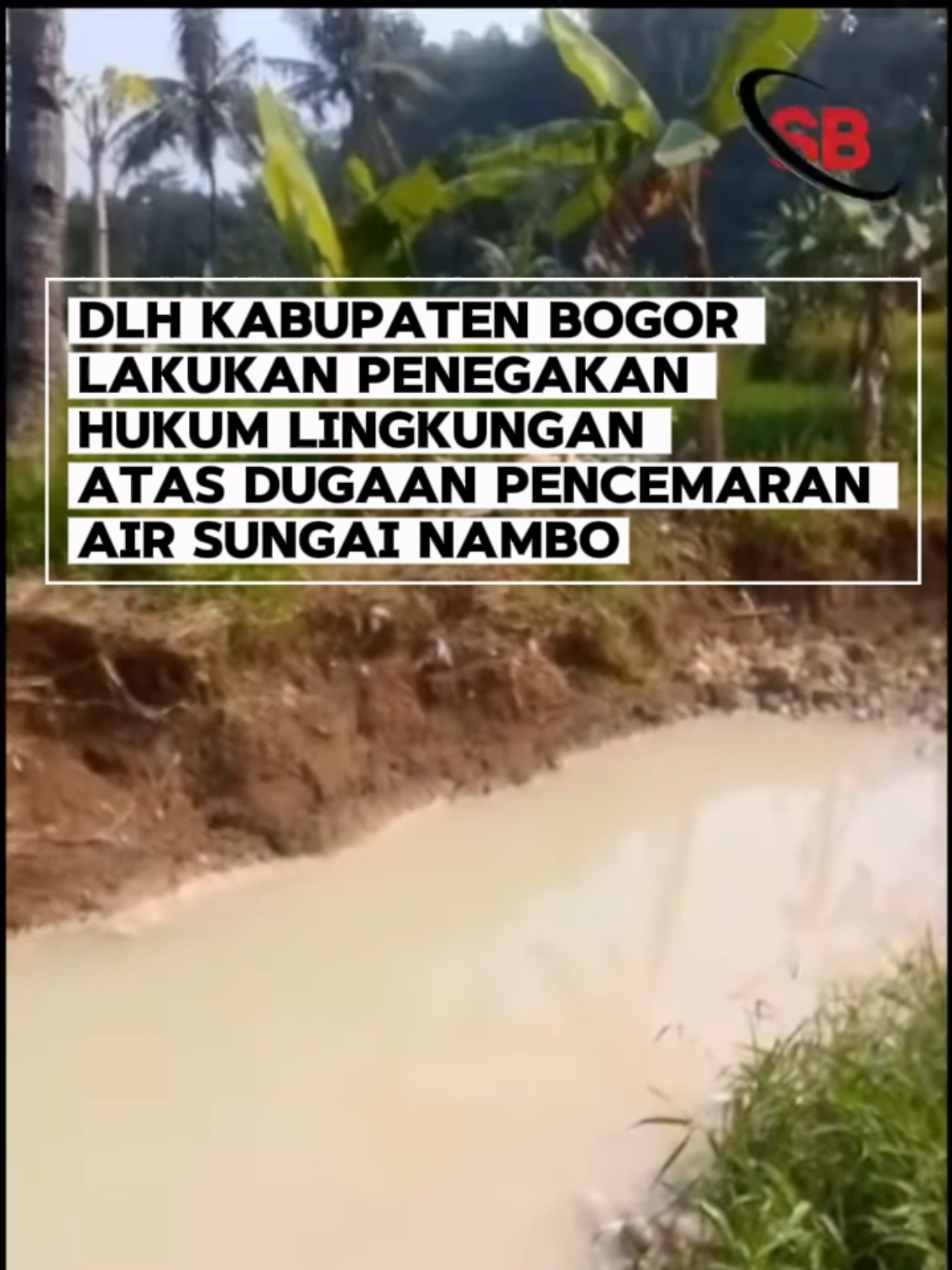 Dinas Lingkungan Hidup (DLH) Kabupaten Bogor menindaklanjuti aduan warga terkait pencemaran air sungai berwarna putih di Desa Nambo, Kecamatan Klapanunggal, yang diduga berasal dari kegiatan gudang ikan dan industri pakan ternak milik Bintarna Tardy. Hasil pemeriksaan menunjukkan kegiatan pencucian cangkang kepiting menggunakan bahan kimia HCl, dengan limbah ditampung di tiga bak pengendapan. Tim Gakkum menemukan saluran by pass dari bak pengendapan menuju sungai. DLH telah menutup aliran by pass tersebut dan memerintahkan perusahaan melakukan penutupan permanen (grouting). Perusahaan juga diwajibkan melengkapi persetujuan teknis pembuangan air limbah dan SLO. DLH akan menjatuhkan sanksi administratif dan denda atas pelanggaran pengelolaan lingkungan, sebagai bentuk komitmen dalam menegakkan perlindungan lingkungan hidup di Kabupaten Bogor. Salam Bogor Istimewa Kuta Udaya Wangsa  #air #sungai #limbah #rudysusmanto #bupati  @suarabotim.com 