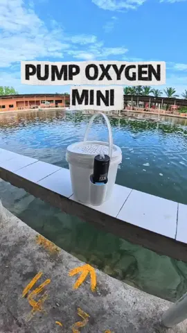 Jangan kedekut kalau nak menggasak. Pump oxygen mini X8 akan pastikan umlan hampa kuat menjentik. #pumpoxygen #oxygenpump #pamoksigen #oksigen #oksigenikan 