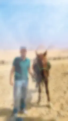 🤍🐎 . .#livewithlowfollowers #sidehustlelive 