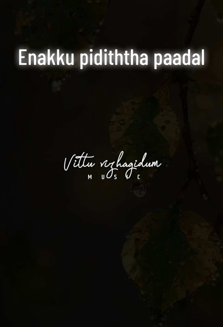 🤍💫மெல்ல நெருங்கிடும் போது நீ விலகி போகிராய்💫🤍#enakkupidithapaadal #pyfツ #pyf #u1songs