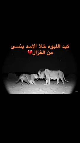 يقول المثل من غاب غاب قسمه٠#اللحن_الحزين💔 #اللحن_الحزين💔😴 #مشاغب_نجران #اكسبلورexplore #نجران_الان @اللحن الحزين✔️ 