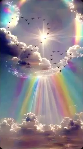 #LIVEIncentiveProgram #LIVEwithlowfollowers #PaidPartnership 