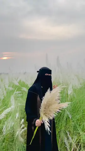 #গান_রে😩#foryou #tiktok #video #bdtiktokofficial 