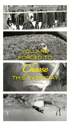 Fashion shouldn’t be a forced choice between cruelty, waste and pollution.  It can be different. Alma is proof: Banana leather made from crop waste, crafted ethically by artisans, designed with nature in mind and wrapped in sustainable packaging.  Luxury that doesn’t harm, it heals 🌍✨ #saveearth #sustainablefashion #fashiontiktok #vegantiktok #crueltyfree 