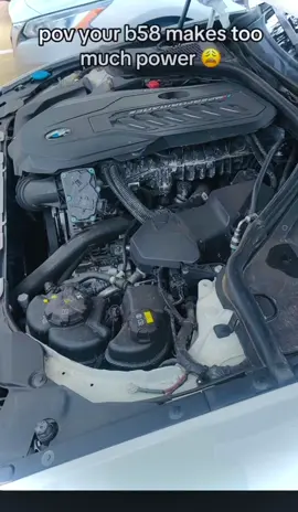 #m5 