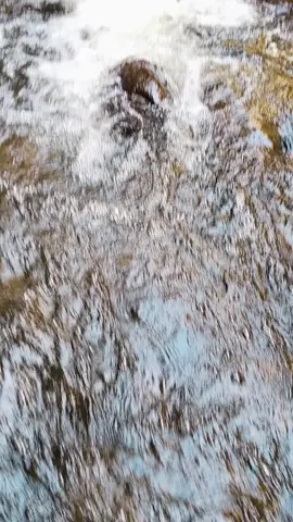 ngana tara tau mandi wkwkw #kalimantan #airterjun #forest #wisataalam 