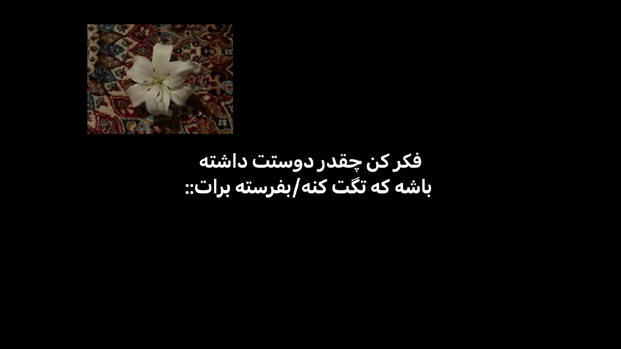ادمین با مخاطب قهره ولی خب @blueberry 🫐✨  ایده:@ᴋɪᴍ sᴏᴀ 💢  خیلی دارم ایده هاتو میدزدم ببخشیدددد😶‍🌫️