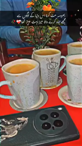 ☕🩷میرا عشق چاۓ #chai #tealovers☕💗 #saraiki #foryou #unfrezzmyaccount 