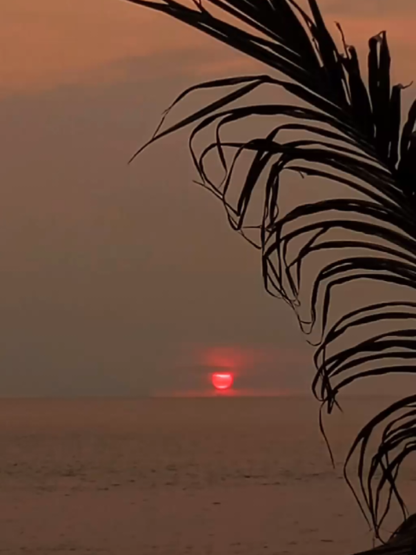 sunset Pantai Anyer cottage #sunset #beach #pantai #creatorsearchinsights #sunsetpantaianyerbanten 