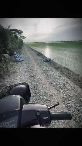 Thà quên đi #fyp #buon #tamtrang #suy #xuhuong 