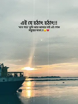 এই যে হঠাৎ হঠাৎ 'মনে পড়ে' তুমি আর আমার নাই এই শোক সমুদ্রের মতো.!!😣💔