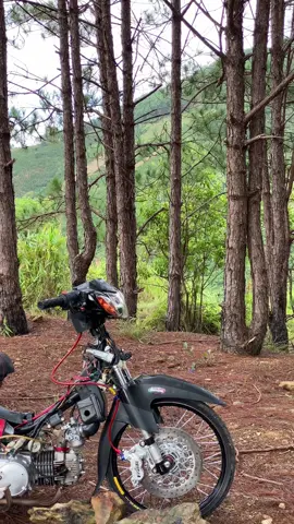 Tít tít tít vải cả nhạc 🤣