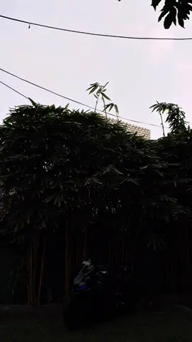 Beauty 💙🦋🫶 #yamaha #indonesia🇮🇩 #r15v3 #modifikasi #srilanka 