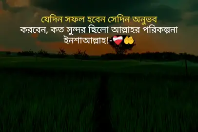 যেদিন সফল হবেন সেদিন অনুভব করবেন, কত সুন্দর ছিলো আল্লাহ পরিকল্পনা ইনশাআল্লাহ!-❤️‍🩹🌸#foryou #foryoupage