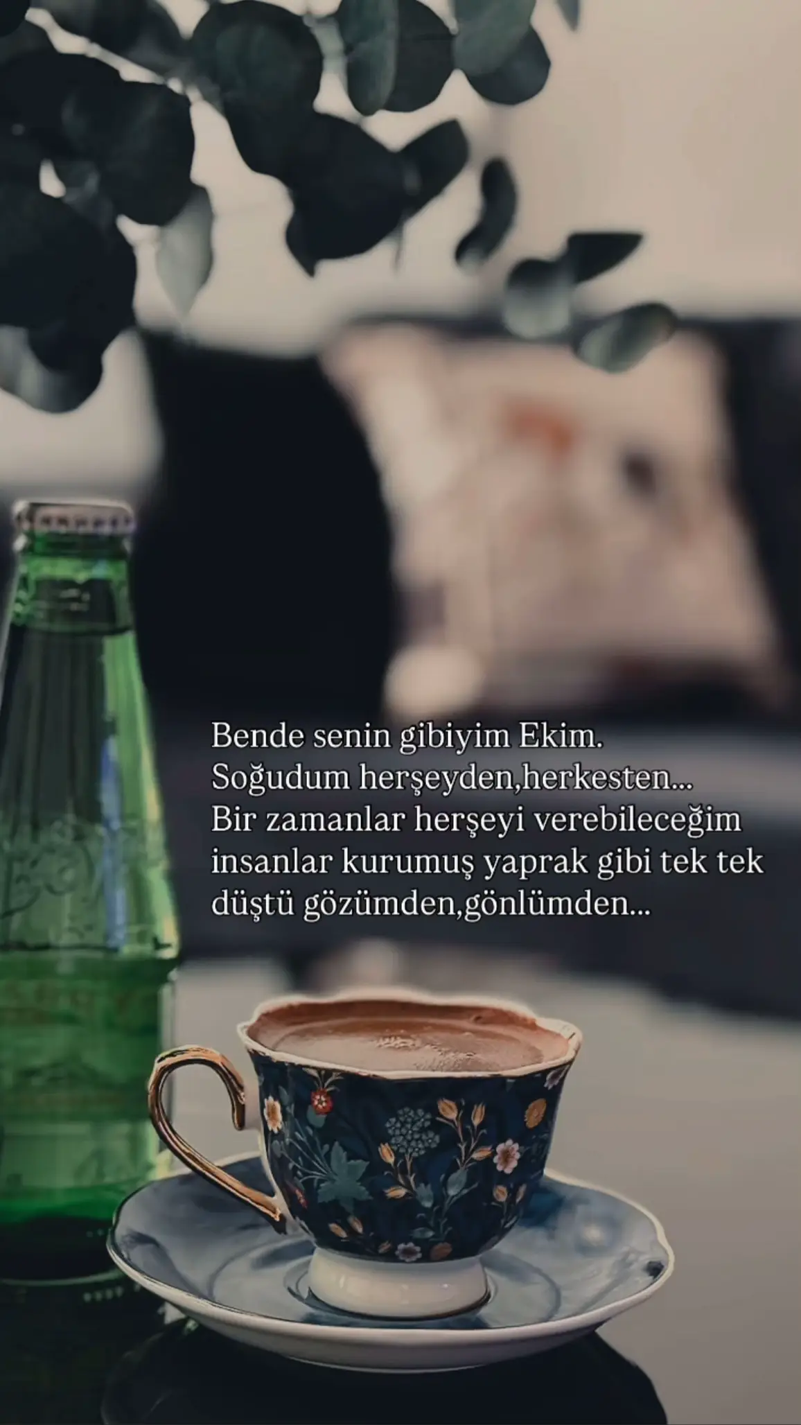 #keşfet #keşfet #kesfetteyiz #kesfetteyiz #kesfetteyiz 