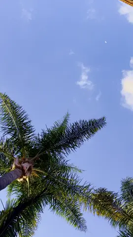 LOCATED AT SHOP NO 108 SAM LEVY'S VILLAGE OPP ELORA'S PLACE. OPEN FROM 10AM TO 8PM EVERYDAY #play365 #kidsplaycentre #hararetiktok 